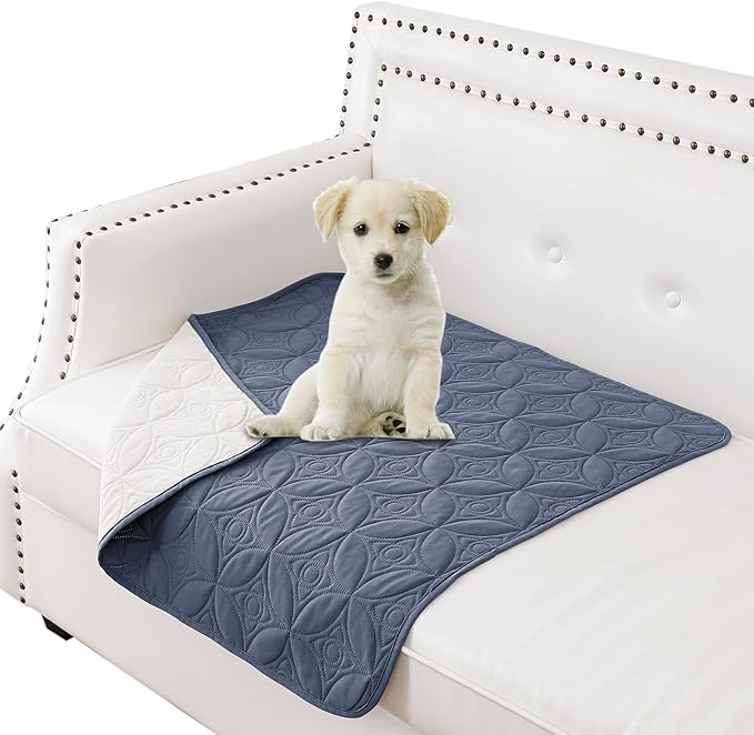 Waterproof Dog Blanket, 30x30 inches Small Pet Couch Covers for Sofa, Chair Bed Furniture Protector from Dogs Washable and Reversible-Blue+Cream