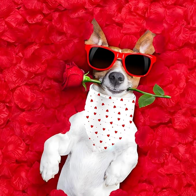 Valentines Dog Bandanas, Heart Red White Heart Dog Scarf, Mother's Day Dog Bandana for Medium Large Dogs Pets