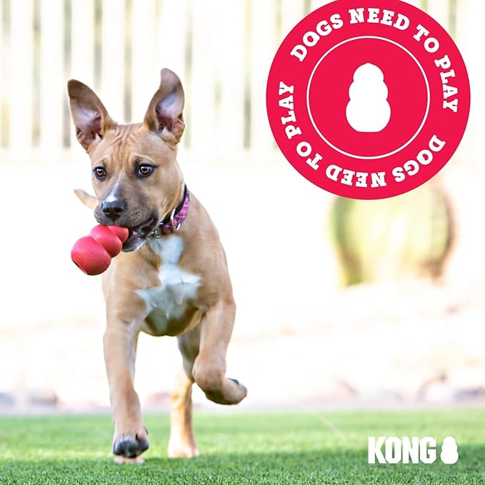 KONG Puppy - Natural Teething Rubber Chew Toy for Dogs - Stuffable Dog Toy for Extended Playtime - Chew & Fetch Toy for Puppies - for XS Puppies - Blue