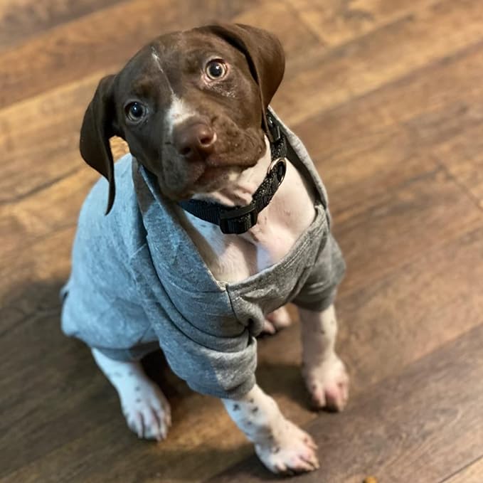 Jecikelon Winter Dog Hoodie Sweatshirts with Pockets Warm Dog Clothes for Small Dogs Chihuahua Coat Clothing Puppy Cat Custume (Grey, X-Large)