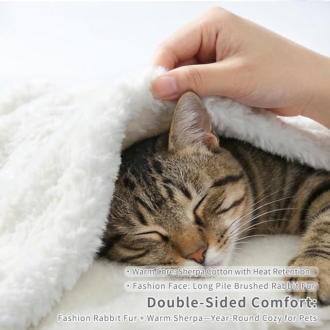 Cat Blanket for Indoor Cats Ultra-Soft Plush Small Blanket Machine Washable Cozy Calming for Kittens Cats Bed Couch Car 21"x18" White