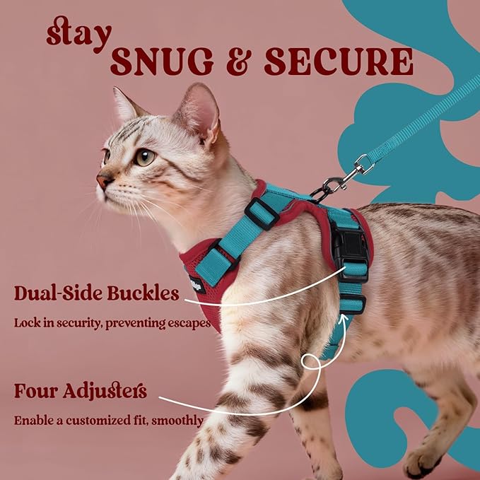 rabbitgoo Cat Harness and Leash for Walking, Escape Proof Soft Adjustable Vest Harnesses for Cats, Easy Control Breathable Reflective Strips Jacket, Red & Teal, XXS