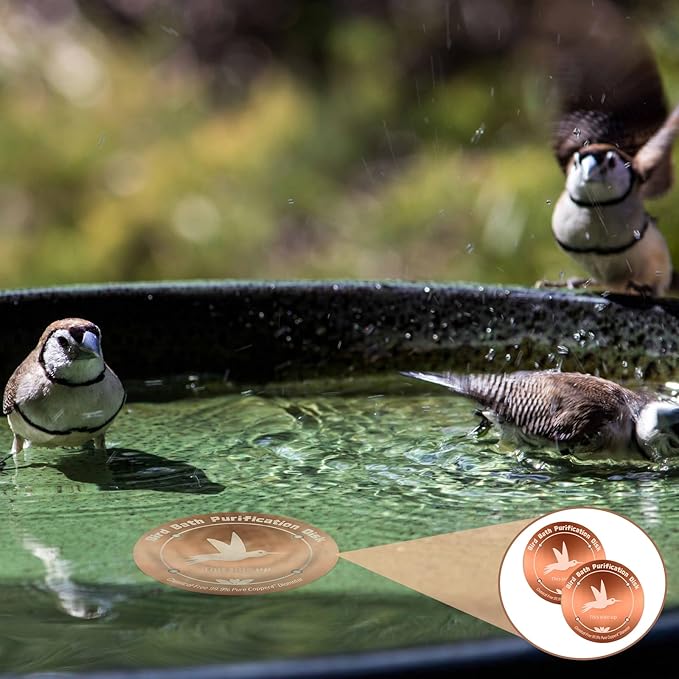 3PCS Pure Copper Bird Bath Purification Disk - 4" Diameter, 0.6mm Thick, Reinforced with Four-Point Support, Universal Fit for Outdoor Birdbath & Bowl
