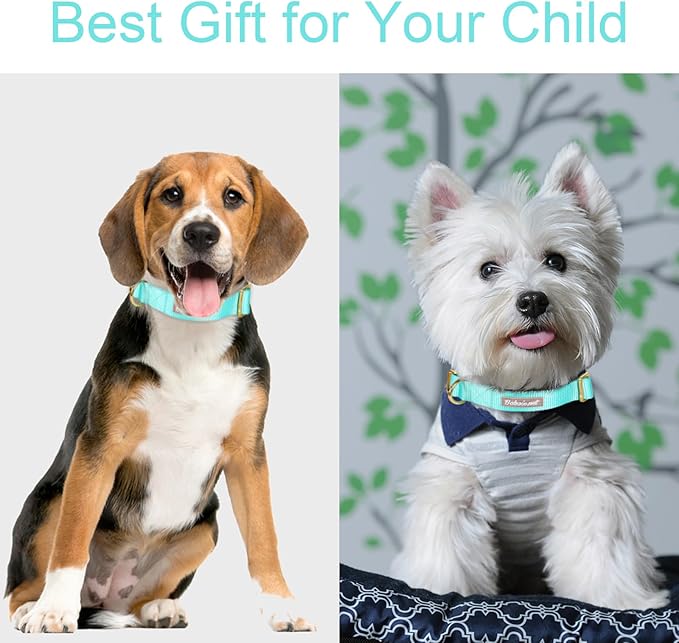 Nylon Dog Collar - Adjustable Lake Blue Soft Webbing Dog Collars for Small Medium Large Dogs Boy Girl Puppy Collar with Safety Metal Buckle XS