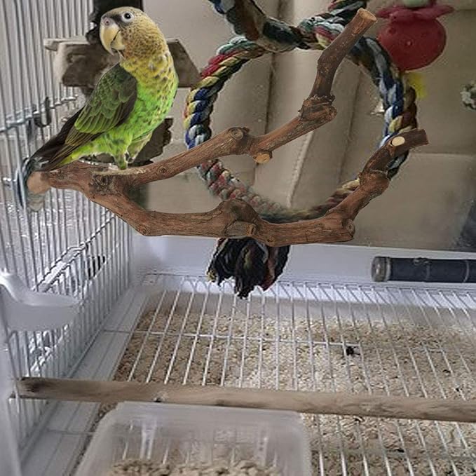 kathson Natural Parrot Perch Bird Stand Pole Wild Grape Stick Paw Grinding Fork Parakeet Climbing Standing Branches Toy Chewable Cage Accessories for Small Budgies Cockatiels Lovebirds 4PCS