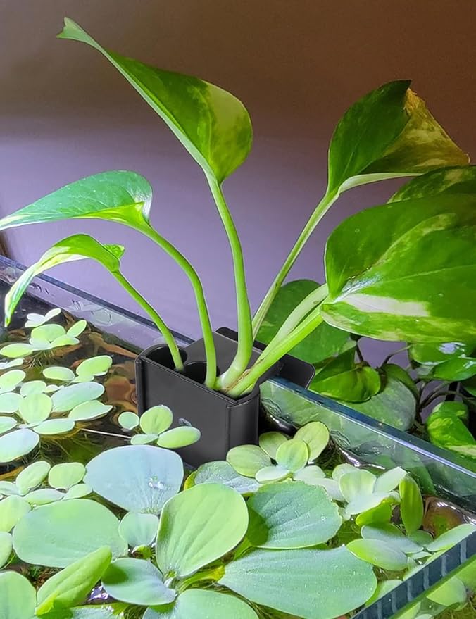 2 Pk Upgraded Aquarium Plant Holder, Hanging Aquarium Plant Holder with Clip, Suitable for Fish Tank Plant Potting, Aquarium Decoration
