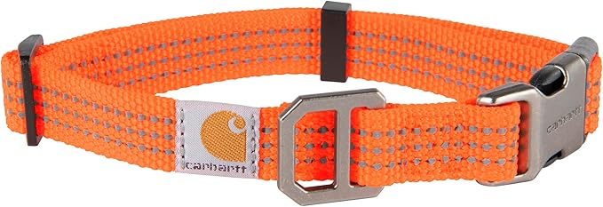 Carhartt Fully Adjustable Nylon Webbing Collars for Dogs, Reflective Stitching for Visibility, Hunter Orange (Nylon Webbing), Large