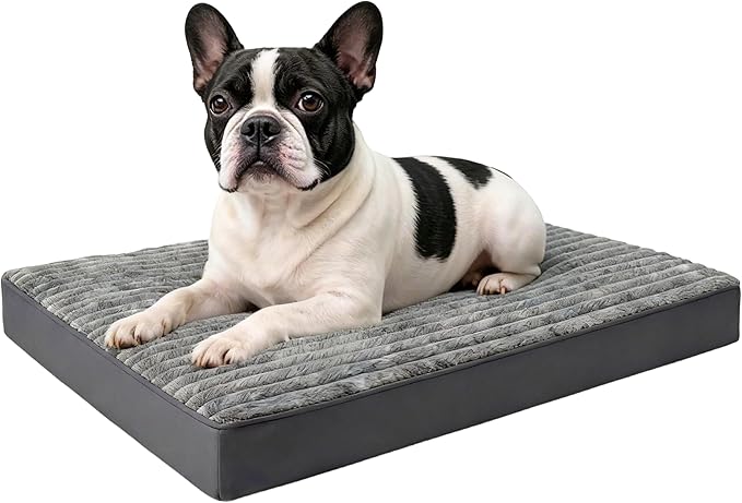 Small Dog Bed Sized Dogs, Orthopedic Flannel Pet Bed with Removable Washable Cover, Waterproof Indestructible Puppy Dog Cot Bed with Anti-Slip Bottom, Egg Crate Memory Foam Pad, 23.0"x17.0"x3.0", Grey