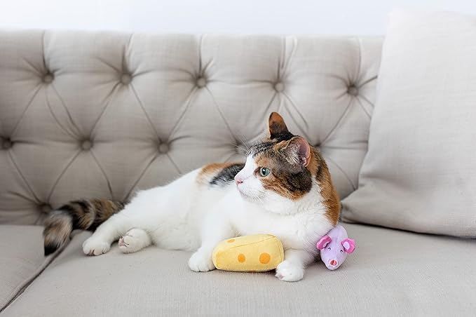 Pearhead Hide and Squeak Teaser Cat Toys, Crinkle and Rope Catnip Mouse and Cheese Plush Set, Playtime Pet Accessory, Must Have Play Accessories