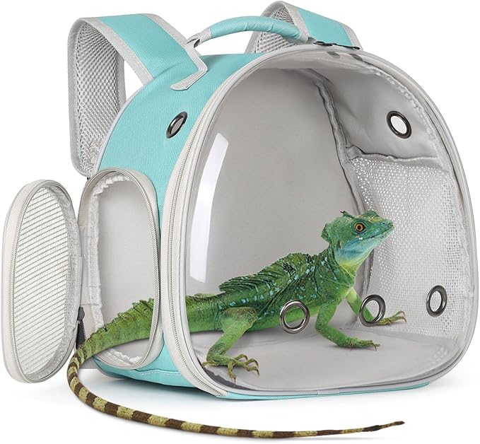 Guinea Pig Backpack Carrier, Bearded Dragon Carrier Backpack with Clear Bubble Window,Small Animal Travel Backpack for Hedgehog Rat，Chameleon,Rabbit,Sugar Glider,Airline Approved (Green, Backpack)