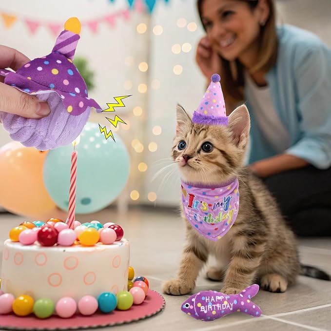 BINGPET Cat Birthday Catnip Toys for Indoor Cats, 5 Pcs Cat Birthday Gift Kitten Interactive Toys for Boy Girl Cats, Soft Plush Catmint Kitty Chew Kick Toy, Hat, Bandana, Balloon, Cake, Fish, Purple
