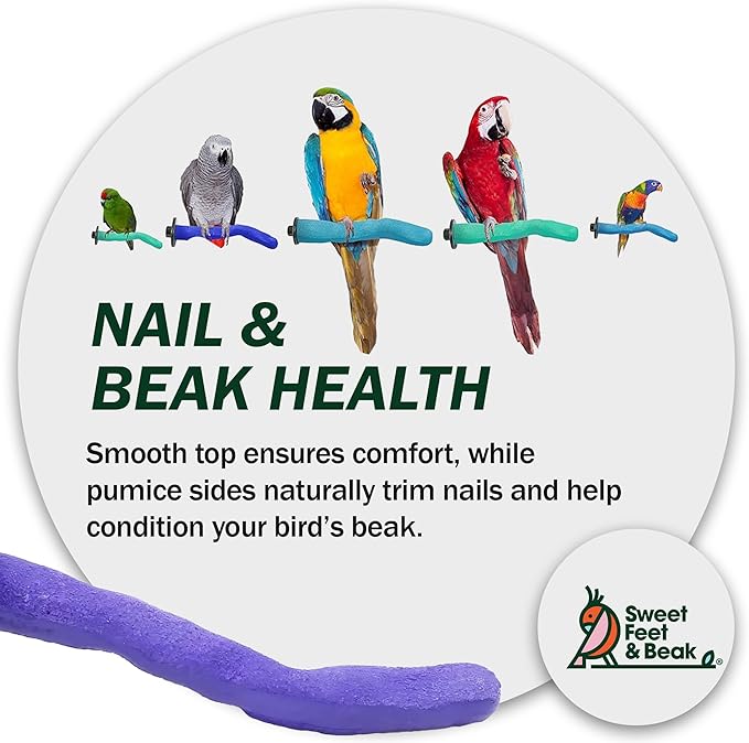Sweet Feet & Beak Safety Pumice Bird Perch, Medium 1-1/4" X 12", Blue - Lightweight Grinding Bird Perches for Cage - Bird Nail Trimming Perch for Healthy Beak & Feet - Multi-Size & Color Parrot Stand
