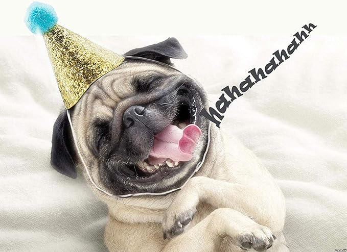 4pcs- Dog Birthday Hat for Pets Party Decoration Supplies， Cat Kitten Headband Hats Charms Grooming Accessories