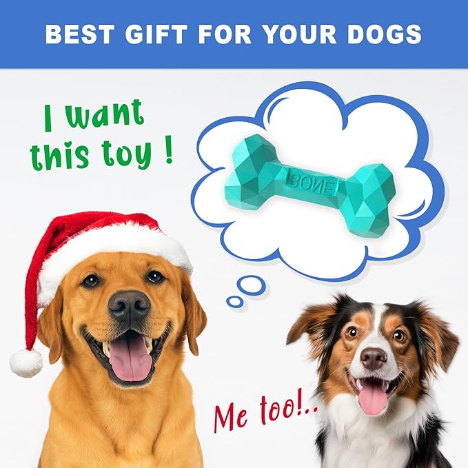NOOVIA Durable Dog Chew Toy Rubber Bone 100% Natural Bite-Resistant Interactive Pet Toys for Dogs, Diamond Texture Modern Geometric Design (Lake Green, Medium)