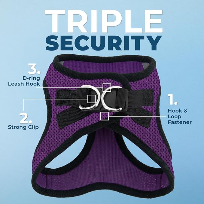 Best Pet Supplies Voyager Step-in Air All Weather Mesh Harness and Reflective Dog 5 ft Leash Combo with Neoprene Handle, for Small, Medium and Large Breed Puppies - Purple/Black Trim, Large