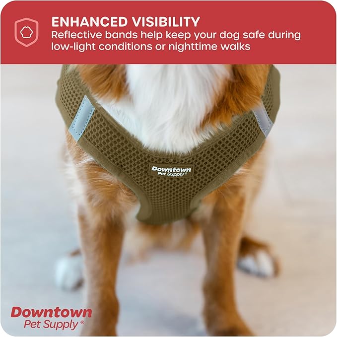 Downtown Pet Supply Step-in Dog Harness – No Pull, Adjustable Padded Mesh with Reflective Trim, Secure Buckle Strap – Comfortable & Breathable Small Dog Harness, Small, Hunter Green