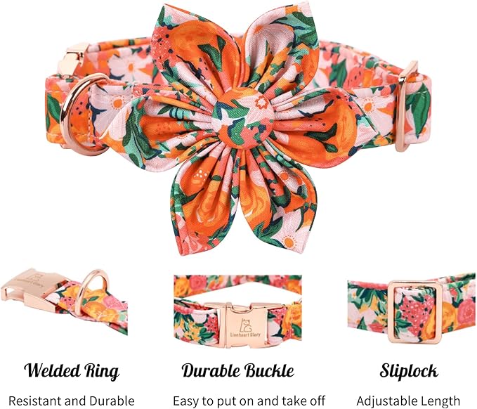 Lionheart Glory Cute Floral Pattern Pet Collar - Adjustable for X-Large Dogs