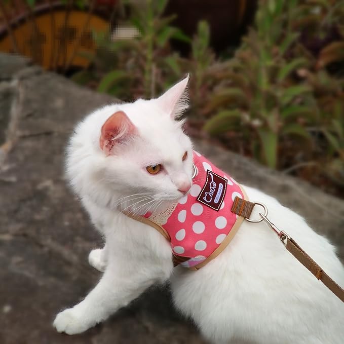 Cat Harness and Leash for Walking Escape Proof, Adjustable Cat Walking Jackets, Padded Stylish Cat Vest Polka Dot Pink, Large