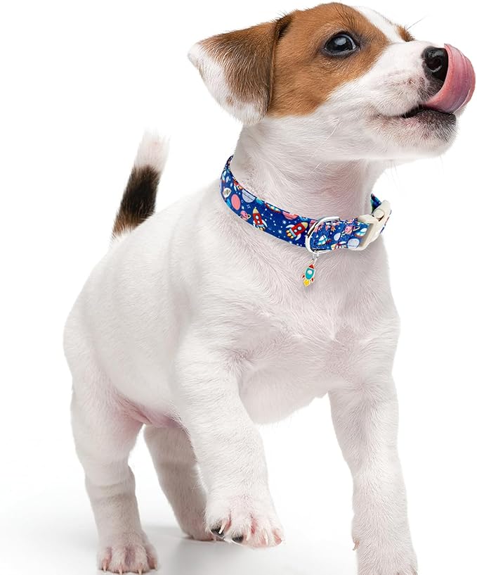 Faygarsle Space Theme Dog Collar, Navy Blue with Rockets and Planets Pattern for Summer Small Medium Large Dogs S
