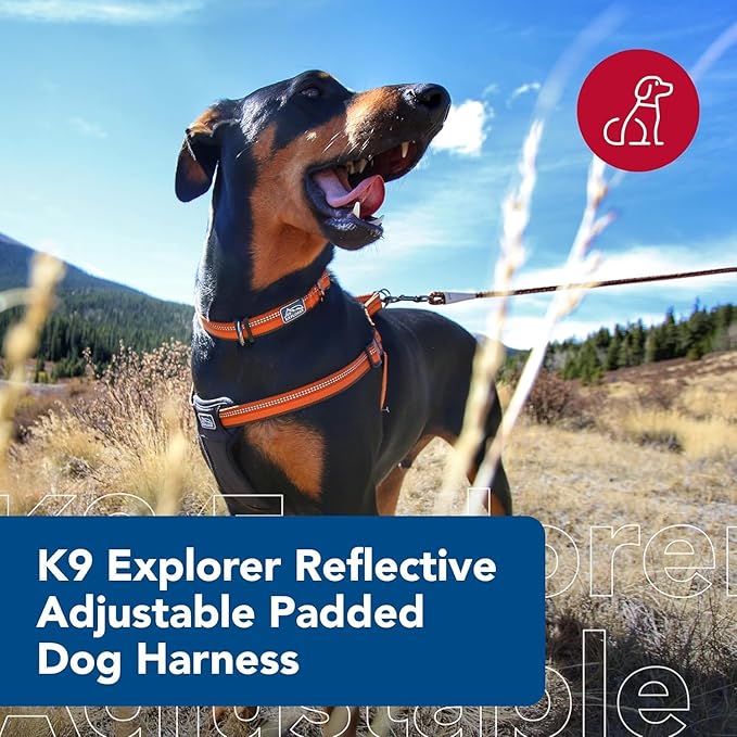 Coastal Pet K9 Explorer Reflective Adjustable Padded Dog Harness - Plush Chest Pad for Comfort - No-Pull Dog Harness for Small and Large Dogs - Campfire Orange - 1" x 26"-38", Large