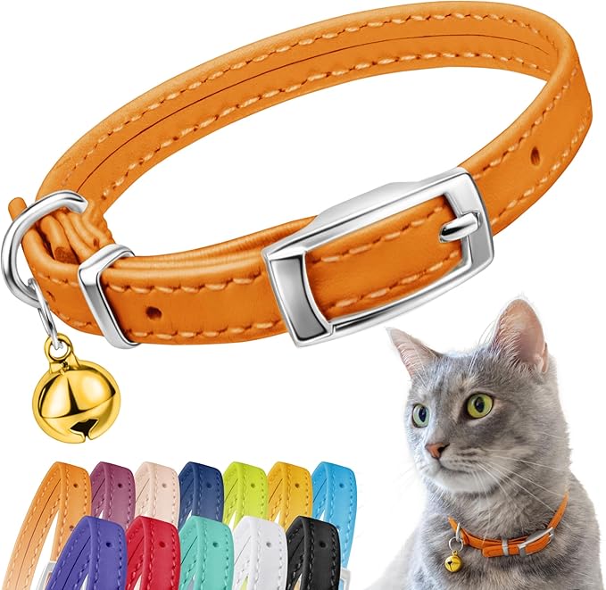 CollarDirect Leather Cat Collar with Bell - Kitten Collar, Small and Big Cat Strap for Boy Cats, Girl Cats with Safety Elastic Strap (Neck Fit 8"-11", Orange)