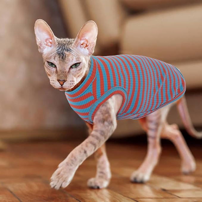BRKURLEG Hairless Cats T Shirt, Cat Sweaters, Pullover Kitten Shirts, Sleeveless Round Collar Cotton Vest for Cornish Rex Devon Rex Peterbald and Small Dogs Sweater(OrangeBlue Stripes, XL)