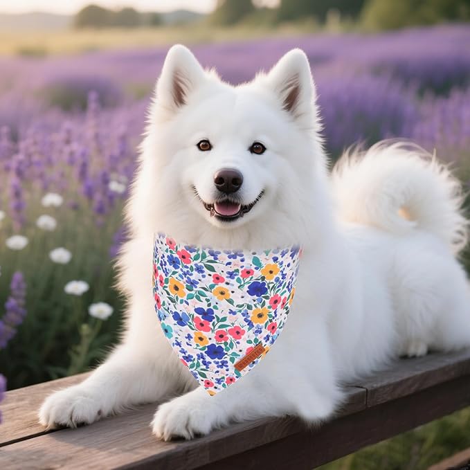 ADOGGYGO Floral Dog Bandanas 2 Pack, Reversible Cute Flower Scarf, Premium Fabric, Adjustable Fit Pink Blue Floral Bandanas for Extra Large Dogs (X-Large)