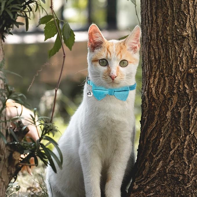 Sliverdew 2 Pcs Velvet Cat Bow Tie Collar Breakaway Cat Collar with Bell Adjustable Bowtie Kitten Small Puppy Safety Collar Solid Color Set Pet Bow Tie Collar (Pink, Blue)