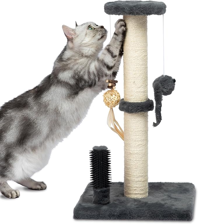 Best Pet Supplies Catify Cat Scratcher, Fun Interactive Scratchers, Posts, Poles, Claw Safe, Furniture Saver Indoor Play Support Natural Cat Behaviors Heavy Duty - Gray