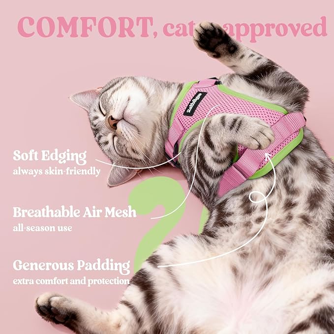 rabbitgoo Cat Harness and Leash for Walking, Escape Proof Soft Adjustable Vest Harnesses for Cats, Easy Control Breathable Reflective Strips Jacket, Pink&Light Green, XXS