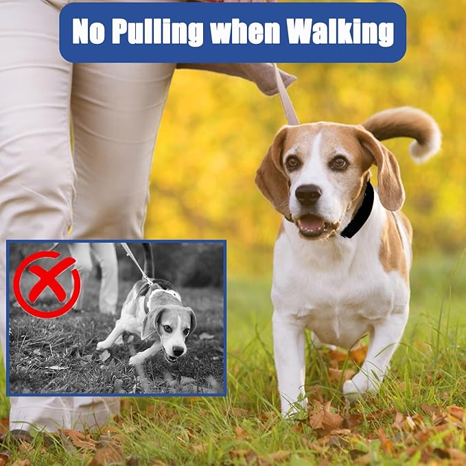 Prong Training Collar for Dogs, Rotating Ring Welding, Adjustable Dog Training Pinch Collar with Quick Release Buckle, for Small Medium Large Dogs