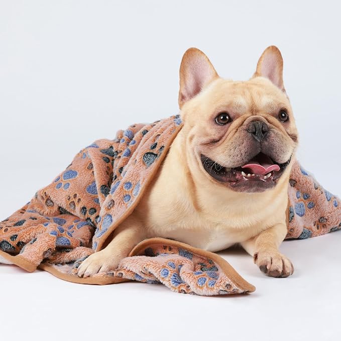 Luciphia 1 Pack 3 Blankets Super Soft Fluffy Premium Fleece Pet Blanket Flannel Throw for Dog Puppy Cat Paw Brown/Pink/White Medium(30x20 inch)