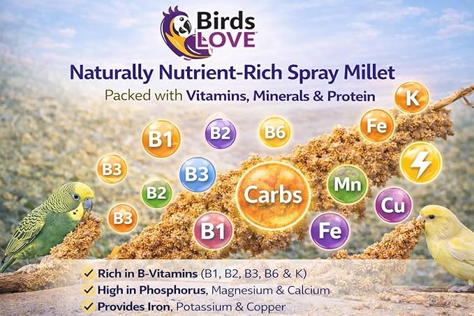 Birds LOVE Millet Tips & Tails for Birds - Parakeets, Cockatiels, Lovebirds, Finches, Budgies, Canaries, Cockatoos - Natural & Healthy Millet for Birds - Parakeet Food & Treats for All Parrots, 1lb
