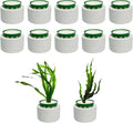 12 Pack New Upgrade Aquarium Plant Weights, Aquatic Plants Fixed Ring Set, Anti-Floating Ceramic Aquarium Plant Rings, Aquarium Landscape Decoration Fish Tank Accessories 1.8 x 1.3 Inch