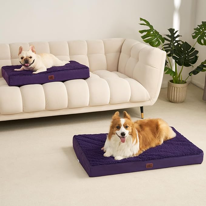 EHEYCIGA Orthopedic Dog Beds for Large Dogs with Removable Washable Cover, Purple, 36x27
