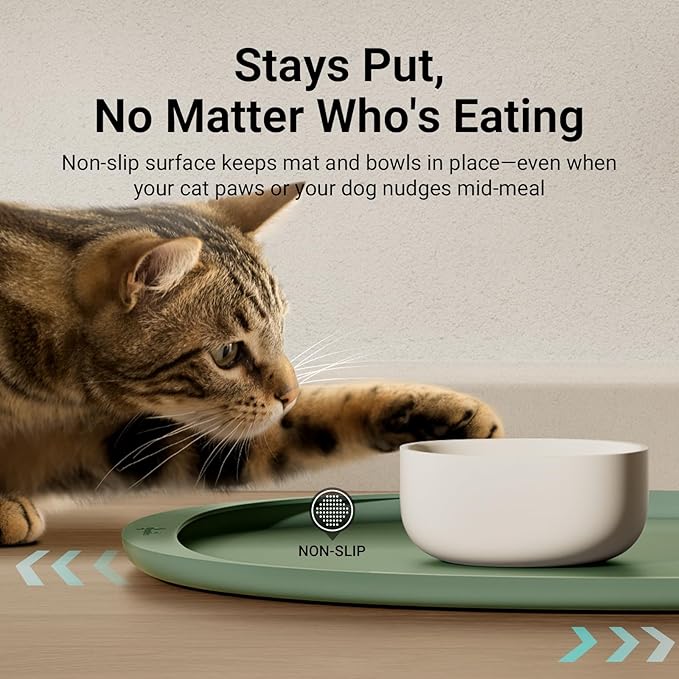 DownyPaws Cat Food Mats for Floors Waterproof, BPA Free Silicone Pet Feeding Mat, Non-Slip Pet Food Mat with High Raised Edge, Cat Placemat for Messy Drinkers, 18"×12.5", Sage