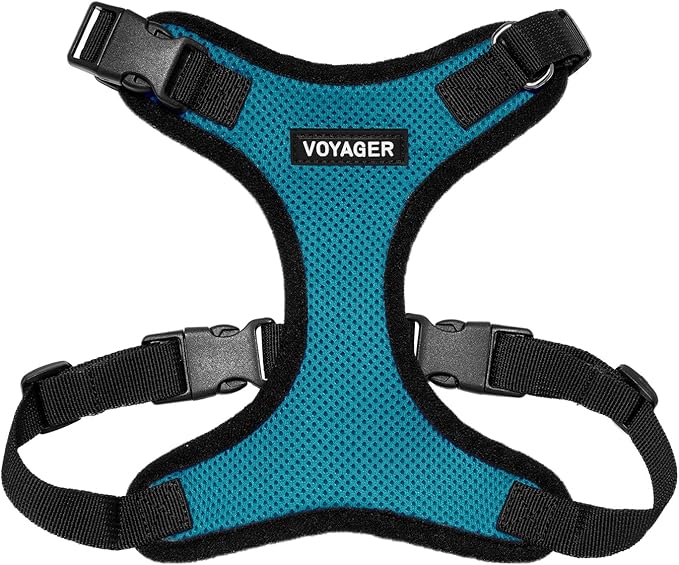Voyager Step-in Pet Harness - All Weather Mesh, Adjustable Step in Harness for Cats and Dogs by Best Pet Supplies - Turquoise/Black Trim, S