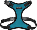 Voyager Step-in Pet Harness - All Weather Mesh, Adjustable Step in Harness for Cats and Dogs by Best Pet Supplies - Turquoise/Black Trim, L