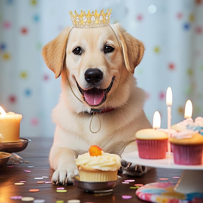 Abbylike Pet Rhinestone King Crown, Queen Crown for Birthday New Year Costume for Small Dog Cat Cosplay Party Accessories Adoption Celebration Wedding Birthday Photos Prop Costume(White,Large)