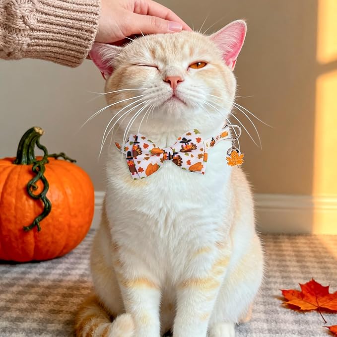 SCENEREAL Fall Thanksgiving Cat Bandana Collar with Bell Bowtie - 2 Pack Breakaway Kitten Collars, Adjustable Cute Pet Accessories for Cats and Small Dogs