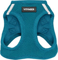 Best Pet Supplies Voyager Step-in Air Harness - All Weather Mesh, Reflective, No Pull Harness for Dogs, Cats - Secure with Hook & Loop Fastener, Buckle, Double D-Rings - Turquoise, M