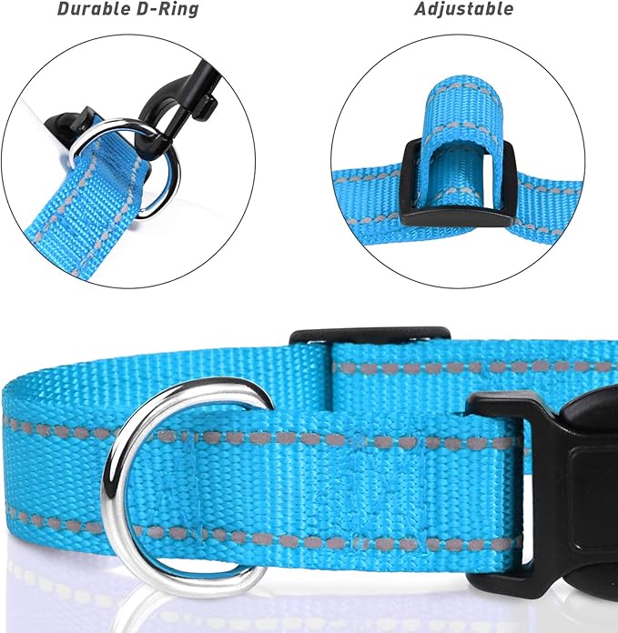 TagME Dog Collars for Small Dogs, Reflective Nylon Pet Collar with Quick Release Buckle, Small Dog Collar for Boys, Sky Blue, 3/8" Width