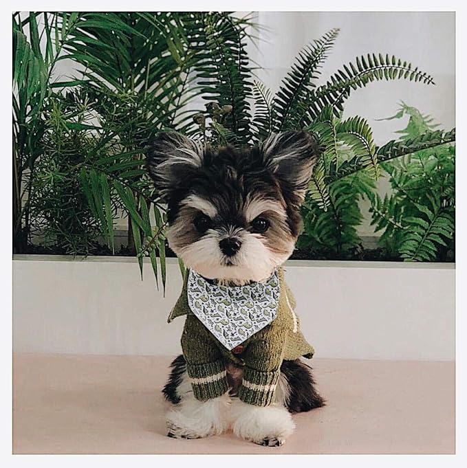 ARING PET Dinosaur Dog Bandanas, Summer Kerchief Triangle Bibs Scarf for Puppy Small Medium Large Boy Girl Dogs Cats-S