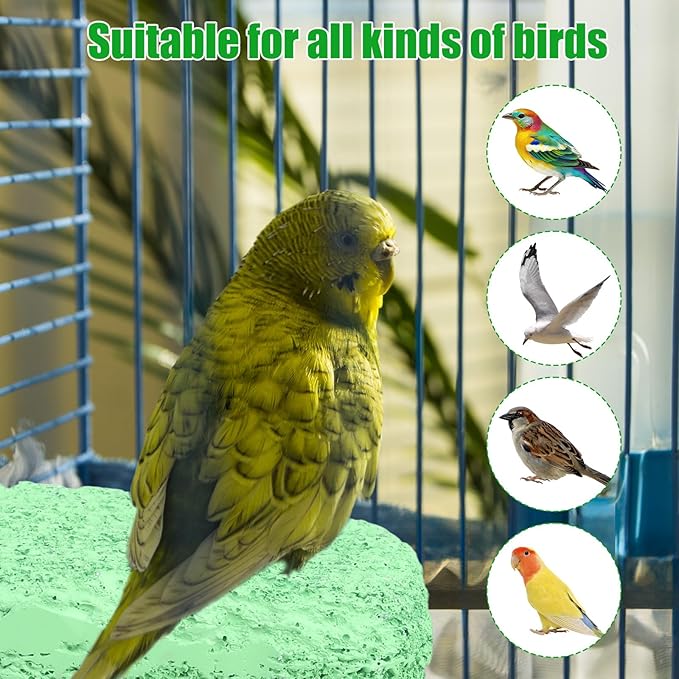2pcs Anti-Slip Bird Beak Grinding Stones, Washable Resin Bird Beak Trimmer & Nail Filing Stand Platform Cage Accessories for Parrots Budgies Cockatiels Parakeets