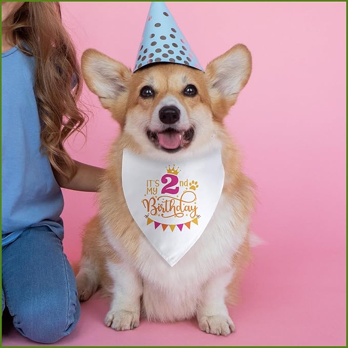 It's My 2nd Birthday Dog Bandana Happy 2nd Birthday Pet Triangle Scarf for Large Medium Small Dogs Two Years Old Gifts Photo Prop Pet Scarf Accessories Christmas Puppy Gifts