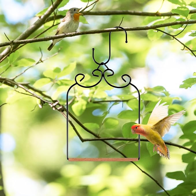 2 Pack Hummingbird Swings and Perches, Metal Frame Bird Swing with 2 Replacement Wooden Dowels and Iron S Hooks, Black Bird Swing for Hanging Indoor, Outdoor, Trunk, Lawn, Patio, Garden(Black)