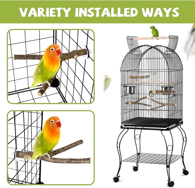 5PCS Natural Wood Bird Perch Set - Straight & Forked Branch Perches Cage Perches Accessories for Small Medium Birds, Parakeets, Budgies, Cockatiels, Conures