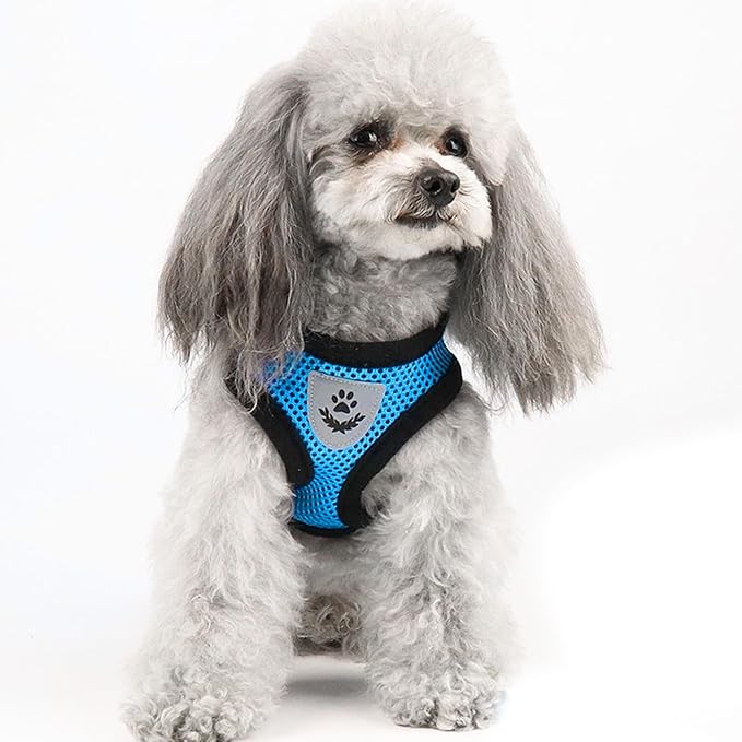 shudyear Summer cat Chest Harness and Leash, Anti-Escape Adjustable Soft mesh cat Leash and Chest Harness Set for All Types of Cats cat Vests (Size L, Sky Blue)