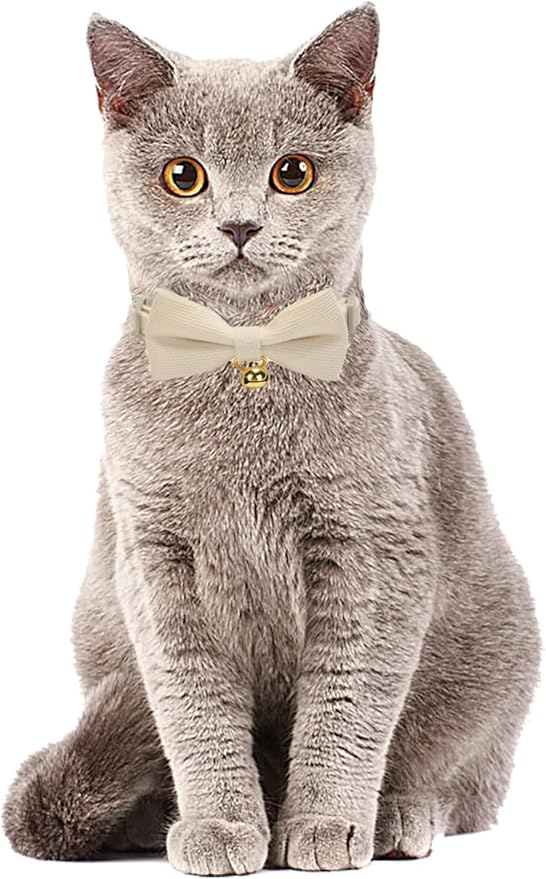 Cotton Breakaway Cat Collar with Bow Tie and Bell, Adjustable Cute Soft Corduroy Kitten Collars for Girl and Boy Cats