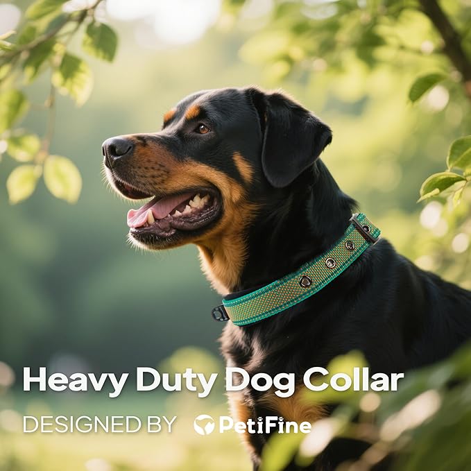 PetiFine Dog Collar for Large Dogs, Neoprene Padded and Adjustable, Reflective Wide Heavy Duty Pet Collars with Durable Metal Belt Buckle for Walking, Teal&Orange, M